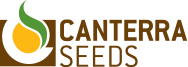 CANTERRA SEEDS - Seed the Difference